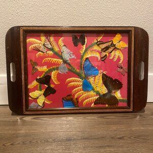 Vintage French Embalmed‎ Butterfly Tray by A Parisience Rio Grande 20.5"x13"
